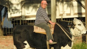 Don Vali y Cebucho, el jinete y el novillo que son furor en las fiestas del campo en Buenos Aires