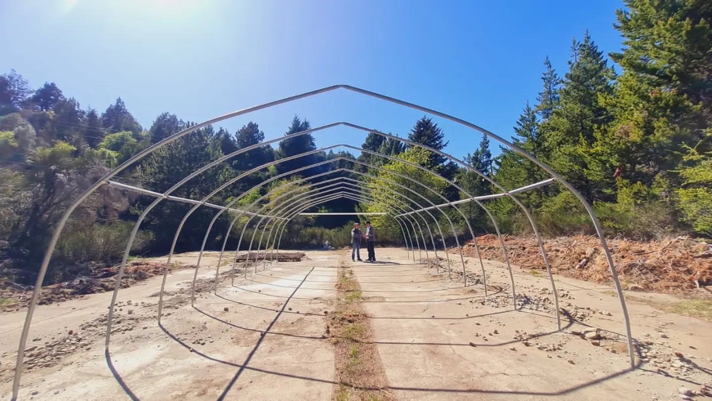 El invernadero de especies nativas del parque Nahuel Huapi estará emplazado en un área de la escuela militar del Ejército en Bariloche. Gentileza