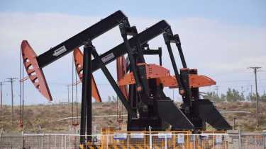 Altos precios internacionales y buenos resultados, la fórmula del salto productivo. (Foto: Matías Subat)