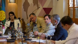 El Frente de Todos denunció a Gennuso por asociación ilícita