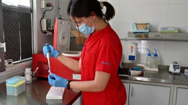Yesica Espasandin está a cargo del laboratorio de biología molecular que detecta hantavirus y otras afecciones en Bariloche. Foto: Chino Leiva