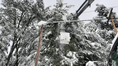 El invierno de 2019 fue de intensas nevadas que causaron la caída de árboles y ramas sobre las líneas del EPEN y provocaron numerosos cortes de servicio en Villa La Angostura. (foto de archivo)