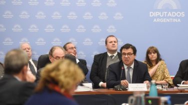 Moroni expuso hoy en la Cámara de Diputados.