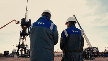 El equipo se destaca en las ramas extendidas al mejorar la eficiencia de los trabajos. (Fotos: gentileza)