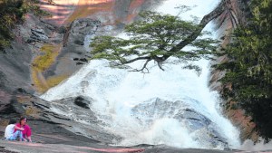 La importancia del ambiente