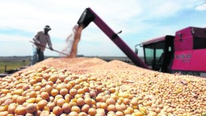 Camino a 2023: el agro bajo la lupa