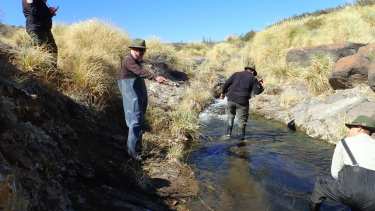 El equipo técnico trabajó en las nacientes del arroyo Valcheta. Foto: gentileza. 