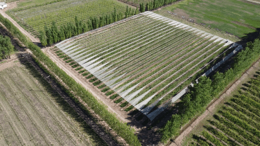 Expoproductiva 2022: un espacio de tecnologías y dinámicas para la producción norpatagónica