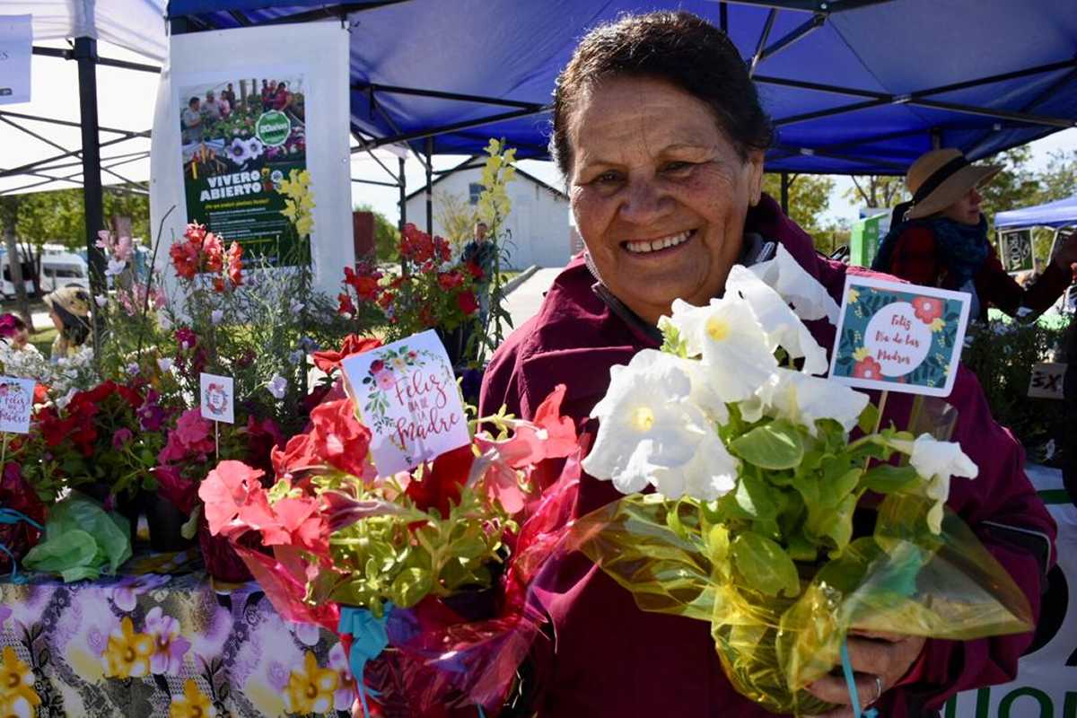 No te pierdas la feria de agricultura urbana en Neuquén - Diario Río Negro