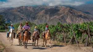 De Neuquén a Salta: la Ruta del Vino del Norte es una maravilla y hay ofertas de pasajes de avión