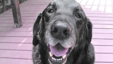 Artrosis: causas, tratamientos y prevención