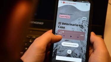 Deportes, turismo, historia y salud: programación especial de DIGO para este domingo