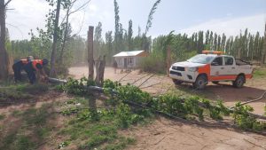 Lo que dejó la alerta: 18 horas de viento, con las ráfagas más fuertes en Neuquén