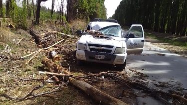 El hecho ocurrió en medio de la alerta amarilla. Foto gentileza