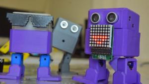 Los robots que recorrieron las escuelas de Neuquén enseñando “que nada es imposible”