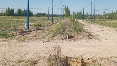  Los vecinos anticiparon que presentarán una demanda a la inmobiliaria que les vendió los terrenos. Foto gentileza