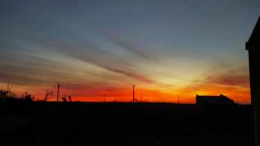 Los 19 aerogeneradores están instalados en 3.000 hectáreas alambradas en la zona de aguadas de la invernada (foto gentileza)