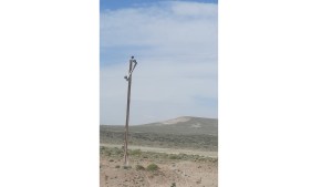 Apagón en la Región Sur de Río Negro por el fuerte viento