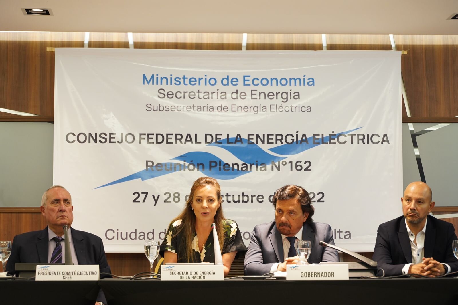 La secretaria de Energía resaltó el federalismo del Consejo. Foto: gentileza. 