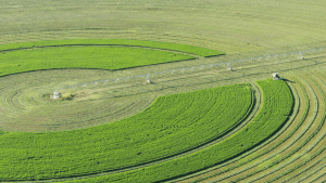 La UNRN organiza una jornada sobre Producción y Comercialización de mega fardos de alfalfa