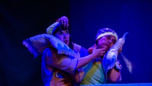 Te.Ne.As.: comienza una semana de teatro neuquino en Junín de los Andes