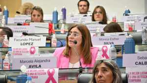 La Legislatura le aprobó un endeudamiento a Carreras y aumentó el sobregiro para 2023