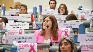 Ávila fue la encargada de presentar el proyecto en el recinto. Foto: Marcelo Ochoa.