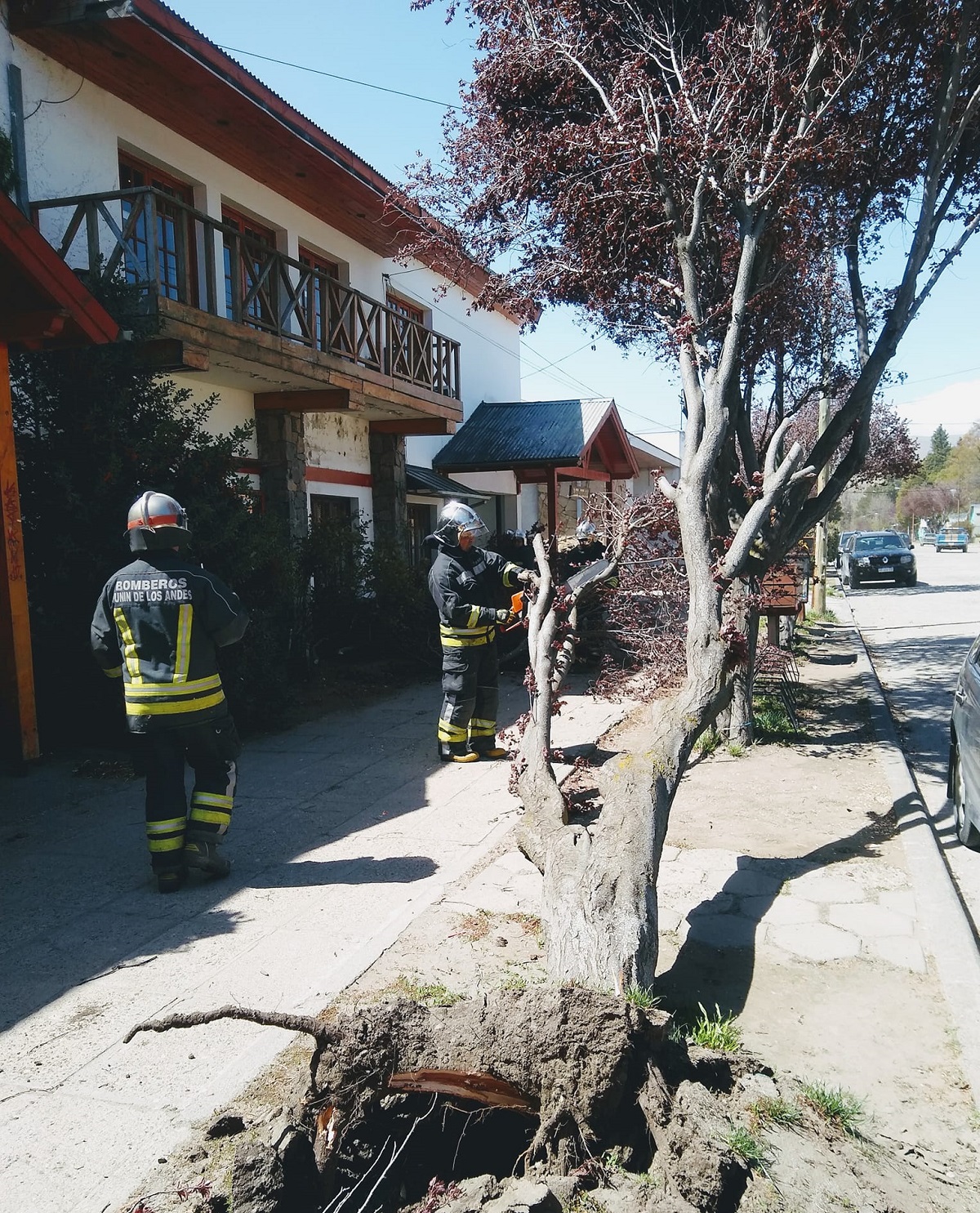 Bomberos de Junín de Los Andes trabajan en un árbol caído por las fuertes ráfagas. Foto: Gentileza