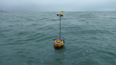 Aseguran que fue robado ya que el soporte del panel "está intacto". Foto: Sofía Vélez. 