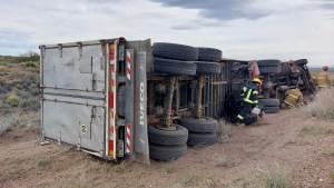 Por el fuerte viento volcó un camión que trasladaba carne en Picún Leufú y hubo cortes de luz