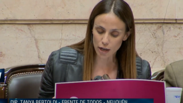 Tanya Bertoldi dijo que la ley que se trata en el Congreso contribuirá a que el país sea "un poco más justo". Foto: Captura
