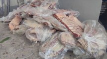 Imagen de Le detectaron casi $4 millones en asado con hueso que traía de La Pampa a Neuquén