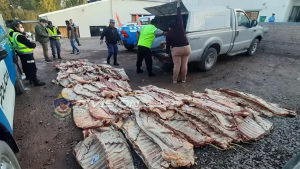 El precio del asado en Neuquén se consigue al doble de lo que se paga en La Pampa: ¿Menos consumo o menos controles?