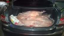 Imagen de Decomisaron 30 costillares que transportaba un hombre de Regina en un auto
