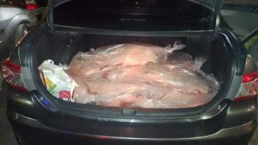 Decomisaron 30 costillares que transportaba un hombre de Regina en un auto
