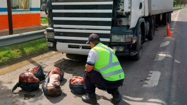 En el camión para mudanzas, llevaban la carga de costillares en bolsas de nylon. (Foto Néstor Salas)