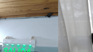 El registro civil de Centenario fue invadido por una plaga de murciélagos. Foto: Facebook