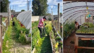 La huerta comunitaria de la escuela 101 sufrio un hecho de vandalismo. Foto: https://www.facebook.com/programa.prodaneuquen.7