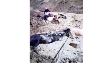 Foto: Captura de video. 