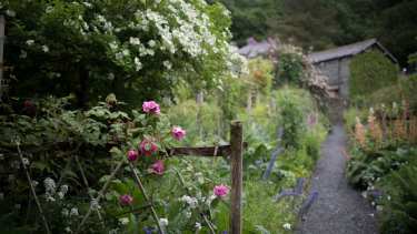 Es importante tratar de reconectar con la naturaleza siendo conscientes de los daños que los humanos podemos generarle.
