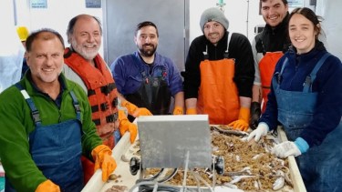 Científicos hicieron un relevamiento del “langostino patagónico” o “langostino argentino” en el Golfo San Matías, cerca de la costa de Río Negro. 
Crédito: INIDEP