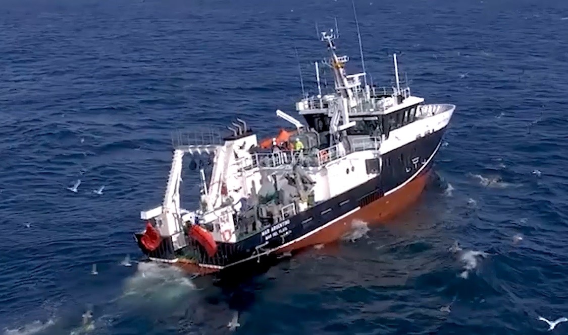 El estudio de los langostinos se hizo a bordo del Buque de Investigación Pesquera Oceanográfica (BIPO) Mar Argentino.