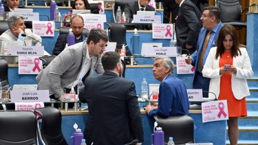  La provincia adhirió a la Ley Nacional Nº 27.424. Foto: Marcelo Ochoa.