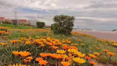 Un lunes nublado y caluroso se espera para este inicio de semana. (Archivo).-