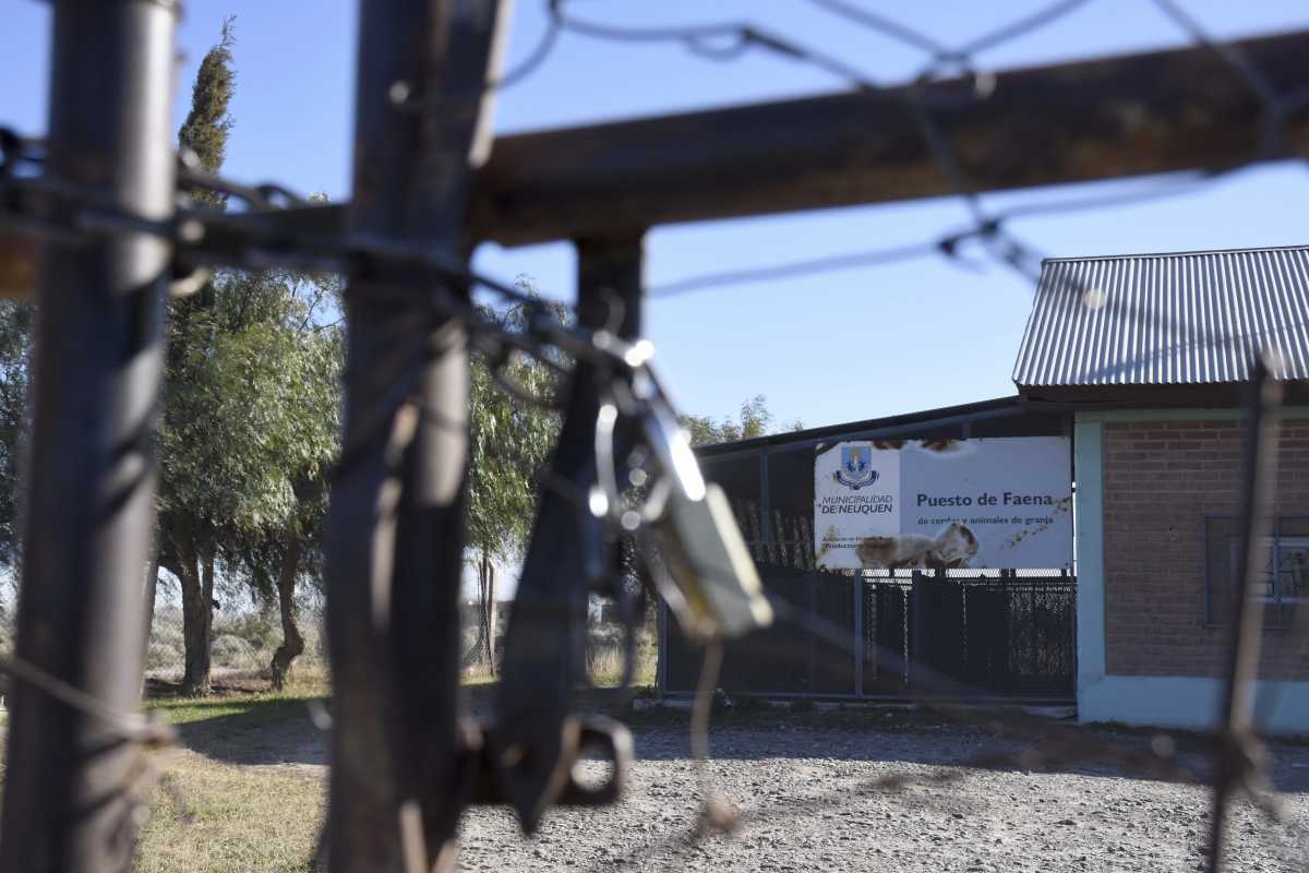 La planta de faena de la municipalidad en la Colonia Nueva Esperanza está inactiva desde el 1 de  julio. (Matías Subat)