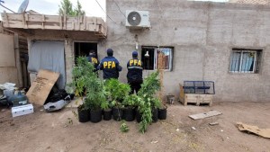 Desbaratan banda narco en el oeste de Neuquén,  se dedicaban al “delivery” de droga