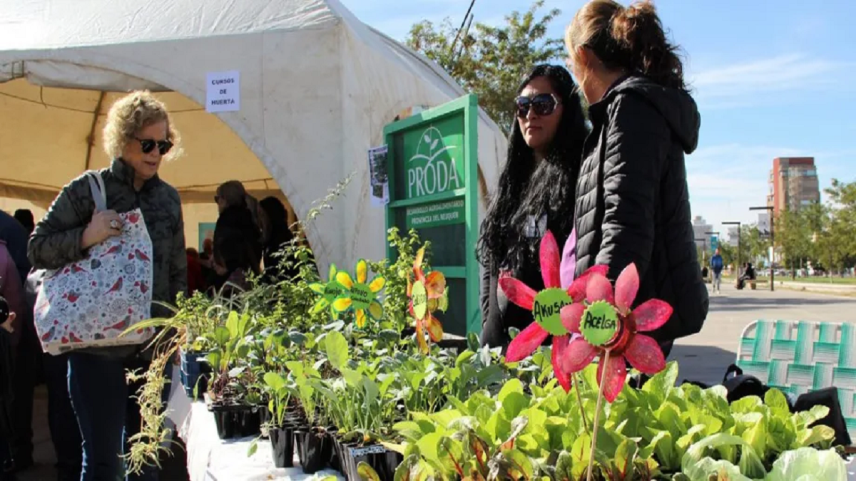 Se realizará una nueva edición de la Feria de Agricultura Urbana en Neuquén por los 20 años de Proda. Foto:archivo