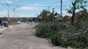 Proponen crear una tasa por la recolección de los residuos no domiciliarios en Regina
