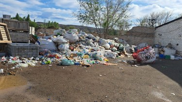 Responden a críticas por el estado del corralón municipal y vehículos del municipio de Regina