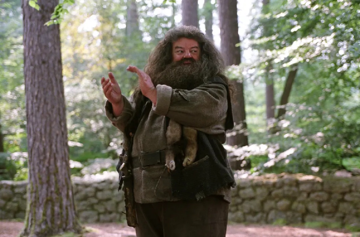 Murió Robbie Coltrane, el actor que fue Hagrid en la saga de “Harry Potter”